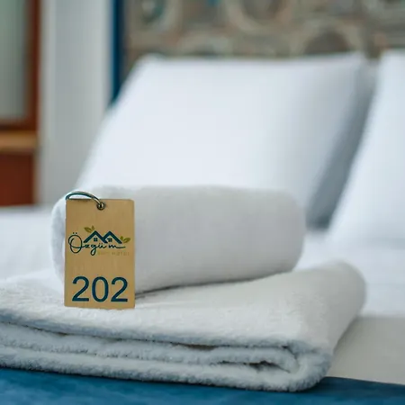 Apart Otel Oezguem